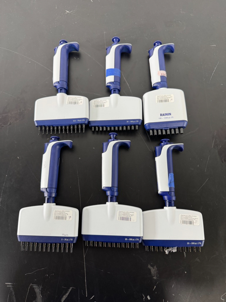 Image of Rainin Pipet-Lite XLS Multichannel Pipettes - Quantity 6